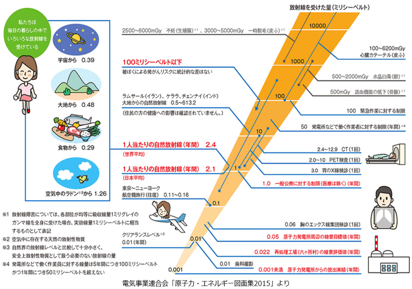 放射線量基準値